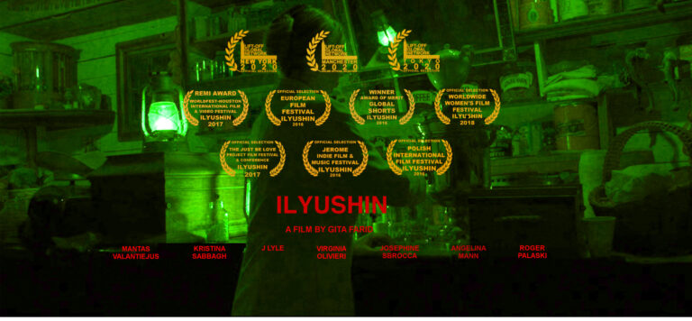 ILYUSHIN poster 10 laurels landscape green 720