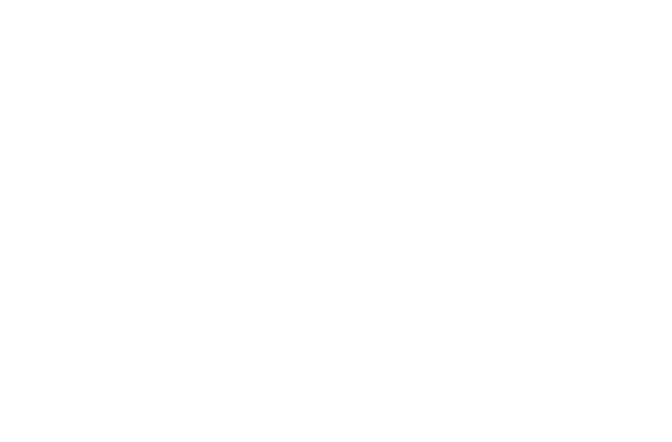 logo main